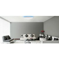 Светильник-тарелка Yeelight Arwen Ceiling Light 450C YLXD013-B - Изображение №3 — Chaika Market