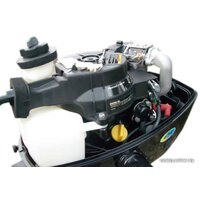 Лодочный мотор Parsun F5 BMS - Изображение №2 — Chaika Market