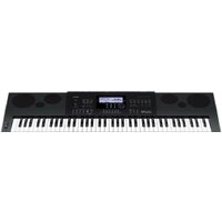Синтезатор Casio WK-6600 — Chaika Market