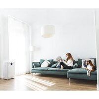 Увлажнитель воздуха Cecotec TotalPure 5000 Connected - Изображение №9 — Chaika Market