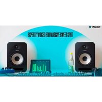 Монитор ближнего поля Tannoy Reveal 402 - Изображение №13 — Chaika Market