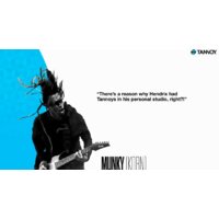 Монитор ближнего поля Tannoy Reveal 402 - Изображение №19 — Chaika Market