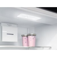 Холодильник Liebherr ICNd 5123 Plus NoFrost 5123-22001 - Изображение №12 — Chaika Market