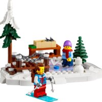 Конструктор LEGO Icons 10325 Альпийский домик - Изображение №9 — Chaika Market