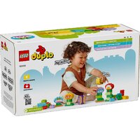 Конструктор LEGO Duplo Креативный цветочный сад 10444 — Chaika Market