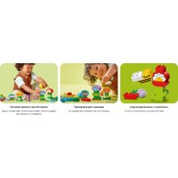 Конструктор LEGO Duplo Креативный цветочный сад 10444 - Изображение №12 — Chaika Market