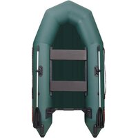 Моторно-гребная лодка Leader Boats Тайга-290-М 2902021 (зеленый) — Chaika Market