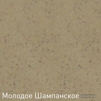Кухонная мойка Zigmund & Shtain Platz 465 (молодое шампанское) - Изображение №8 — Chaika Market