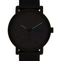 Наручные часы Skagen SKW3101 - Изображение №3 — Chaika Market