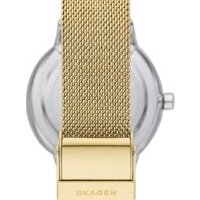 Наручные часы Skagen SKW3101 - Изображение №2 — Chaika Market