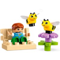 Конструктор LEGO Duplo 10419 Уход за пчелами и ульями - Изображение №5 — Chaika Market