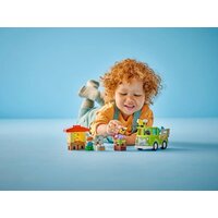 Конструктор LEGO Duplo 10419 Уход за пчелами и ульями - Изображение №6 — Chaika Market