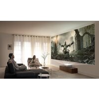 Проектор Samsung The Premiere LSP9T - Изображение №14 — Chaika Market