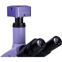 Микроскоп Magus Bio D250TL 83010 - Изображение №24 — Chaika Market