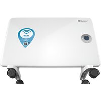 Конвектор Thermex Frame 1000E Wi-Fi - Изображение №4 — Chaika Market