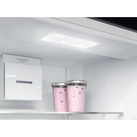 Холодильник Liebherr ICBSd 5122 Plus - Изображение №12 — Chaika Market