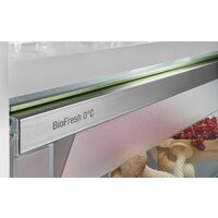 Холодильник Liebherr ICBSd 5122 Plus - Изображение №5 — Chaika Market