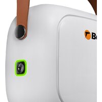 Пароочиститель Bort BDR-3000-RR - Изображение №2 — Chaika Market