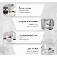 Пароочиститель Bort BDR-3000-RR - Изображение №30 — Chaika Market