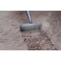 Пароочиститель Bort BDR-3000-RR - Изображение №26 — Chaika Market