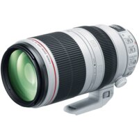 Объектив Canon EF 100-400mm f/4.5-5.6L IS II USM — Chaika Market