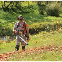 Ранцевая воздуходувка Daewoo Power DABL 520 - Изображение №20 — Chaika Market