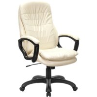 Офисное кресло Brabix Omega EX-589 (бежевый) — Chaika Market