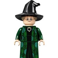 Конструктор LEGO Harry Potter 76382 Учеба в Хогвартсе: Урок трансфигурации - Изображение №13 — Chaika Market