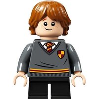 Конструктор LEGO Harry Potter 76382 Учеба в Хогвартсе: Урок трансфигурации - Изображение №12 — Chaika Market