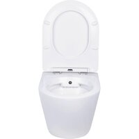 Унитаз подвесной Roxen Antares Bidet в комплекте с инсталляцией StounFix Dual Fresh 6 в 1 968457 (кнопка: брашированное золото) - Изображение №4 — Chaika Market