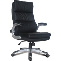 Офисное кресло Brabix Fregat EX-510 (черный) - Изображение №3 — Chaika Market