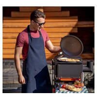Мангал для дачи Helios Smart-1200 Люкс HS-GS-M1204-L - Изображение №6 — Chaika Market