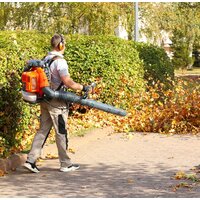 Ранцевая воздуходувка Daewoo Power DABL 760 - Изображение №18 — Chaika Market