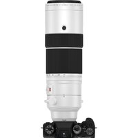 Объектив FUJINON XF150-600mm f/5.6-8 R LM OIS WR - Изображение №12 — Chaika Market