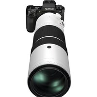 Объектив FUJINON XF150-600mm f/5.6-8 R LM OIS WR - Изображение №9 — Chaika Market