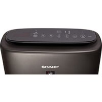 Климатический комплекс Sharp KIN-41RH - Изображение №4 — Chaika Market