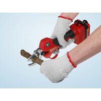 Секатор Wortex CBS 2535-1 1329489 (с 1-им АКБ, кейс) - Изображение №11 — Chaika Market