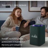 Умная колонка Яндекс Станция Макс (с хабом умного дома Zigbee, зеленый) - Изображение №8 — Chaika Market