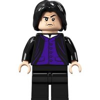 Конструктор LEGO Harry Potter 76383 Учёба в Хогвартсе: Урок зельеварения - Изображение №4 — Chaika Market