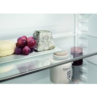 Холодильник Liebherr ICNf 5103 Pure NoFrost - Изображение №11 — Chaika Market