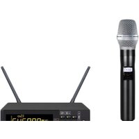 Радиосистема Biema DG-100 — Chaika Market