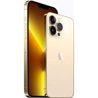 Смартфон Apple iPhone 13 Pro 128GB Восстановленный by Breezy, грейд B (золотой) - Изображение №3 — Chaika Market