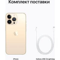 Смартфон Apple iPhone 13 Pro 128GB Восстановленный by Breezy, грейд B (золотой) - Изображение №9 — Chaika Market