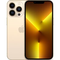 Смартфон Apple iPhone 13 Pro 128GB Восстановленный by Breezy, грейд B (золотой) — Chaika Market