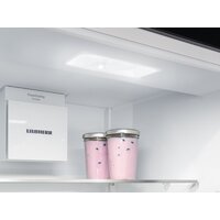Холодильник Liebherr ICSe 5103 Pure - Изображение №13 — Chaika Market