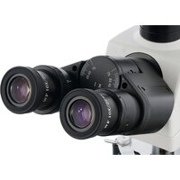 Микроскоп Levenhuk MED D40T LCD тринокулярный 74006 - Изображение №7 — Chaika Market