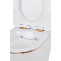 Унитаз подвесной Roxen Antares Gold в комплекте с инсталляцией StounFix Dual Fresh 6 в 1 968460 (кнопка: брашированное золото) - Изображение №10 — Chaika Market