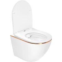 Унитаз подвесной Roxen Antares Gold в комплекте с инсталляцией StounFix Dual Fresh 6 в 1 968460 (кнопка: брашированное золото) - Изображение №9 — Chaika Market