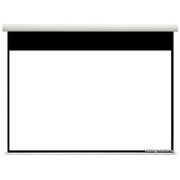 Проекционный экран Future Vision Polaris Cinema BT 273x183 PE270HMW — Chaika Market