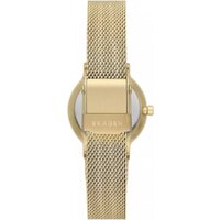 Наручные часы Skagen SKW3110 - Изображение №2 — Chaika Market